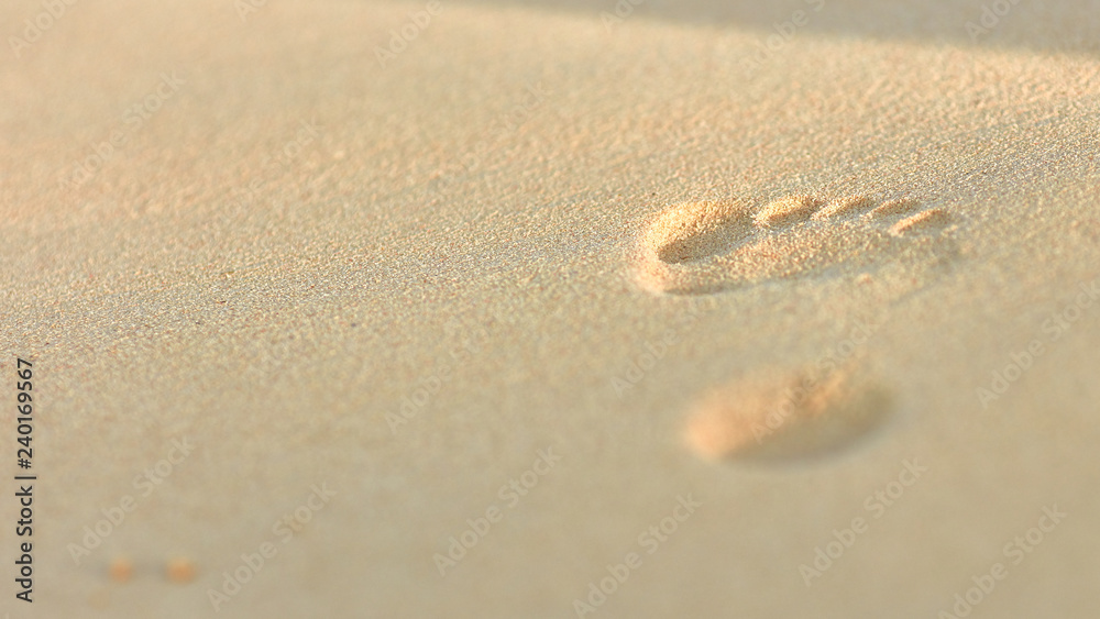 Footprints in the sand - summer vacation Footprints in the sand - summer vacation