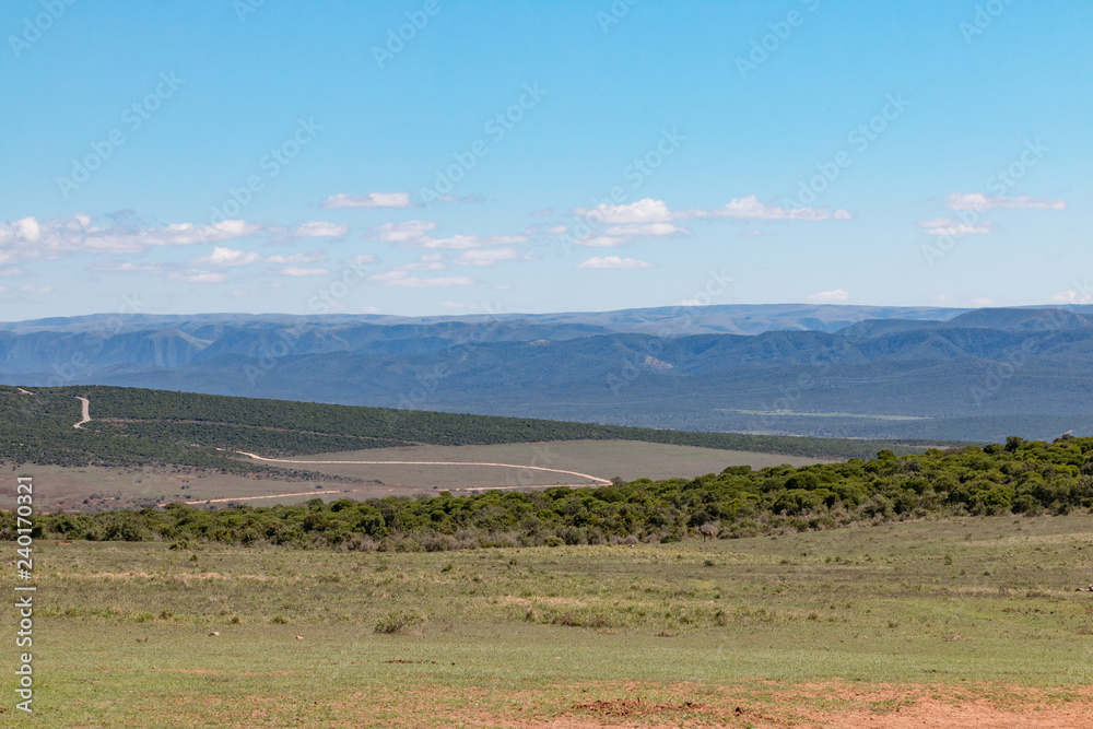 Landschaft im Addo Nationalpark in Südafrika