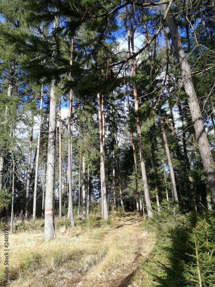 Obraz premium WEITWANDERWEG