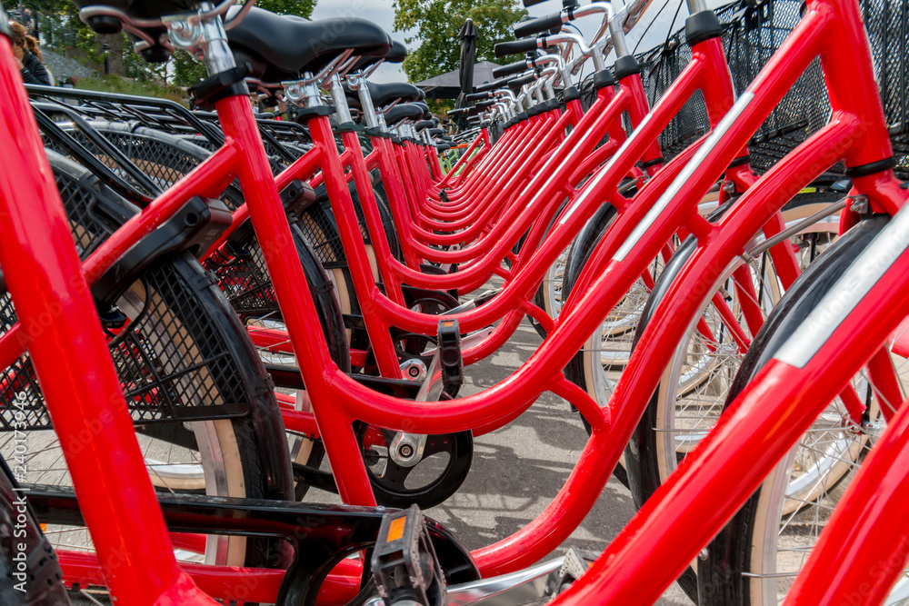 row of red bicycles