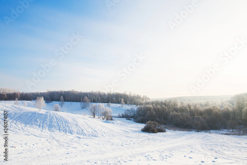 White snowy field in winter forest. Beautiful landscape