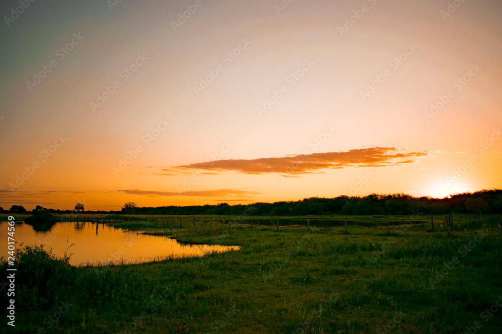 Fototapeta premium Atardecer de Campo