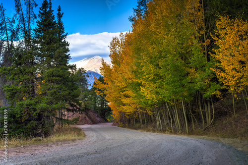 Dirt Road In Fall