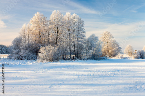 winter landscape, Podlaskie region, Poland