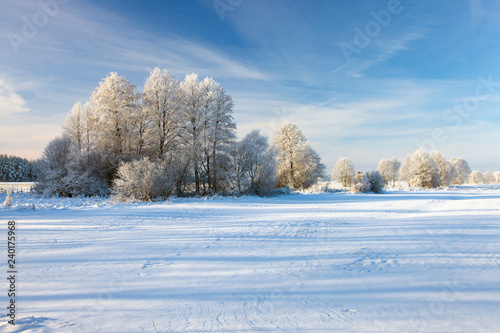 winter landscape, Podlaskie region, Poland