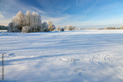 winter landscape, Podlaskie region, Poland