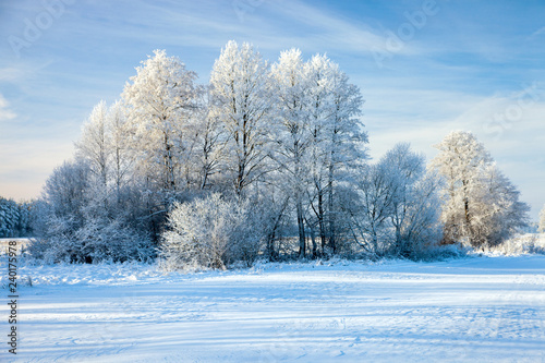 winter landscape, Podlaskie region, Poland