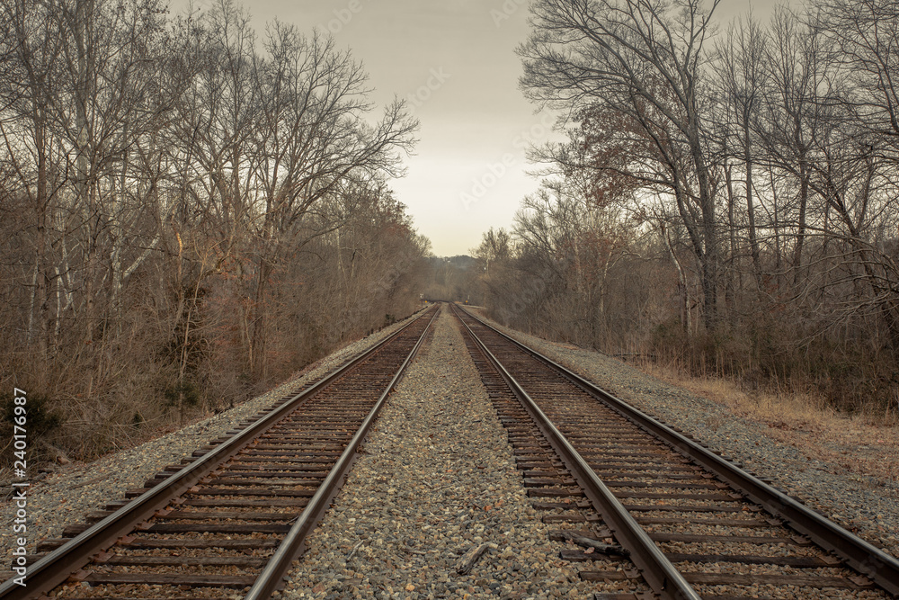 Railroad tracks receding into the distance between bare trees