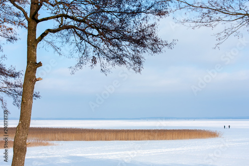 Fototapeta Naklejka Na Ścianę i Meble -  Sniardwy Lake in winter, the largest lake in Poland, Masuria Region, Poland
