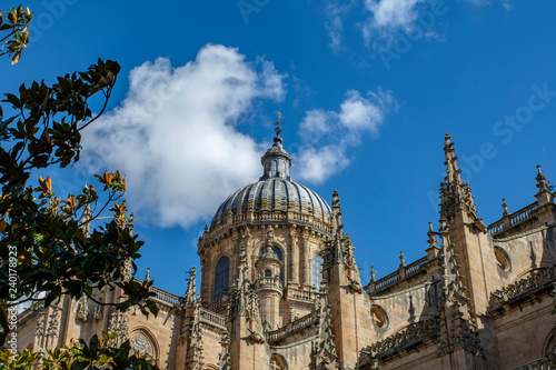 Dome of the cathedral of Salamanca in the historic center of the city