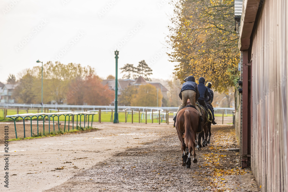 A group of racehorses heading to the gallops at Warren Hill in Newmarket, England. A group of racehorses heading to the gallops at Warren Hill in Newmarket, England.