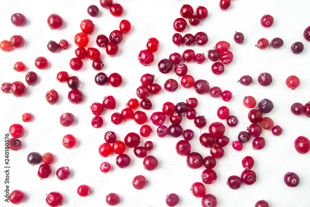 Red Cranberry Fruit on white background