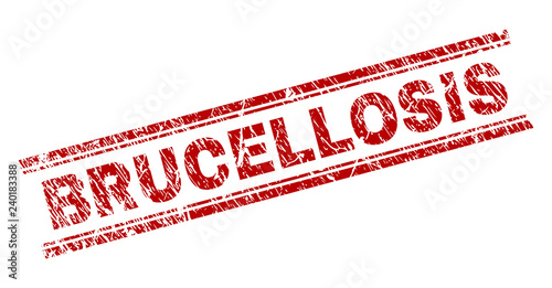 BRUCELLOSIS seal watermark with corroded texture. Red vector rubber print of BRUCELLOSIS title with corroded texture. Text title is placed between double parallel lines.