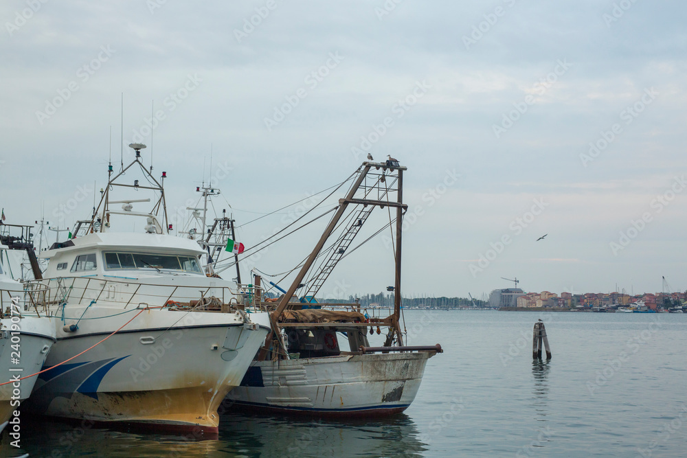 Chioggio, Italy: fishing boats in harbor