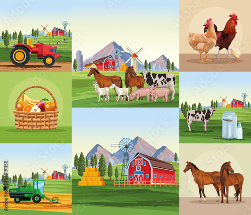 Farm cartoons set