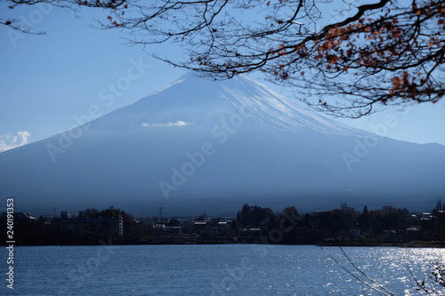 Mount Fuji with snow cap as background and tree branch as foreground.
