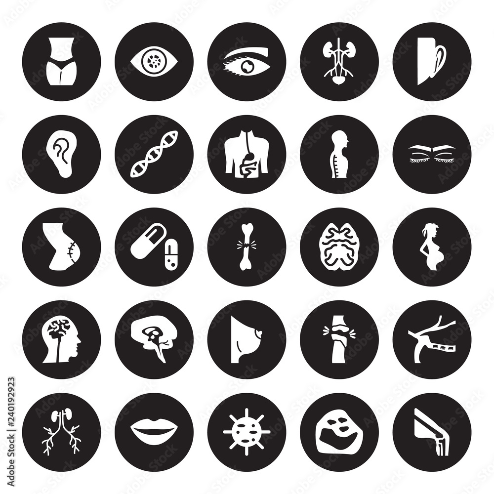 25 vector icon set : Female hips and waist, Basophil, Big Cellule, Lips, Blood Supply System, Closed eyes with lashes brows, Brain upper view, Bosom isolated on black background. 25 vector icon set : Female hips and waist, Basophil, Big Cellule, Lips, Blood Supply System, Closed eyes with lashes brows, Brain upper view, Bosom isolated on black background.