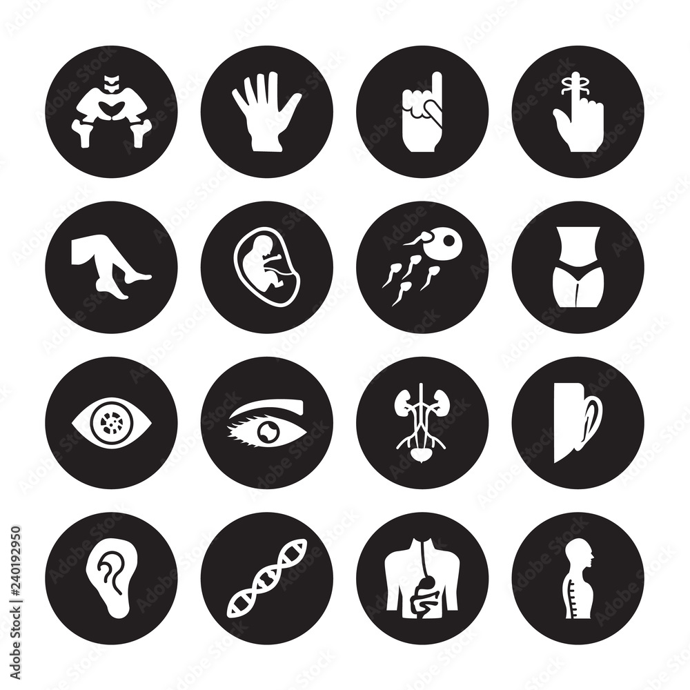16 vector icon set : Hip Bone, Digestive System, Dna, Ear lobe side view, Ear, Column inside a male human body in Foot view isolated on black background