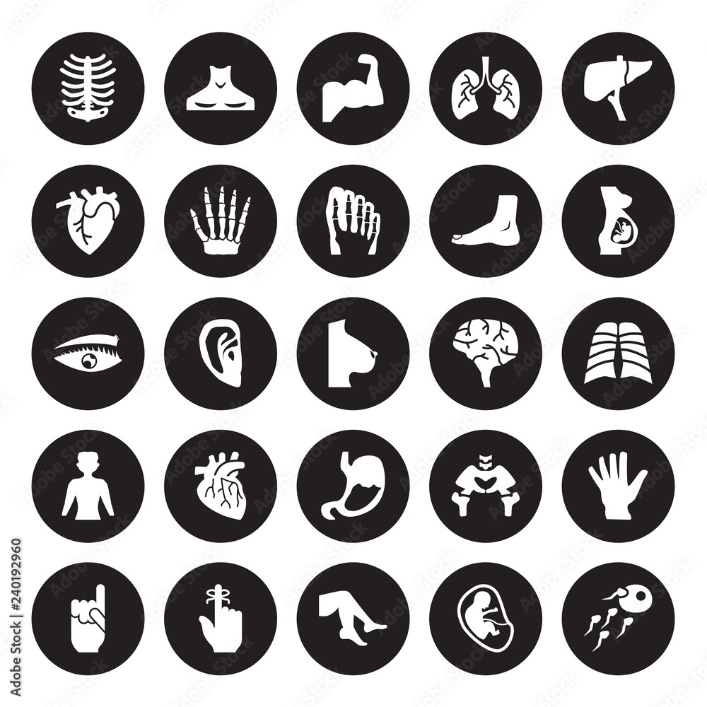 25 vector icon set : Human Ribs, Fetus in an uterus, Foot side view, Hand finger with a ribbon, gesture raising the index finger, isolated on black background.