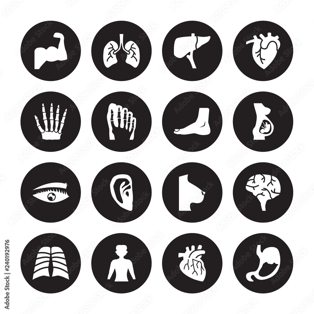 16 vector icon set : Human Muscle, Artery, body standing black, with x ray plate focusing on stomach, Brain, Abdomen, hand bones isolated black background 16 vector icon set : Human Muscle, Artery, body standing black, with x ray plate focusing on stomach, Brain, Abdomen, hand bones isolated black background