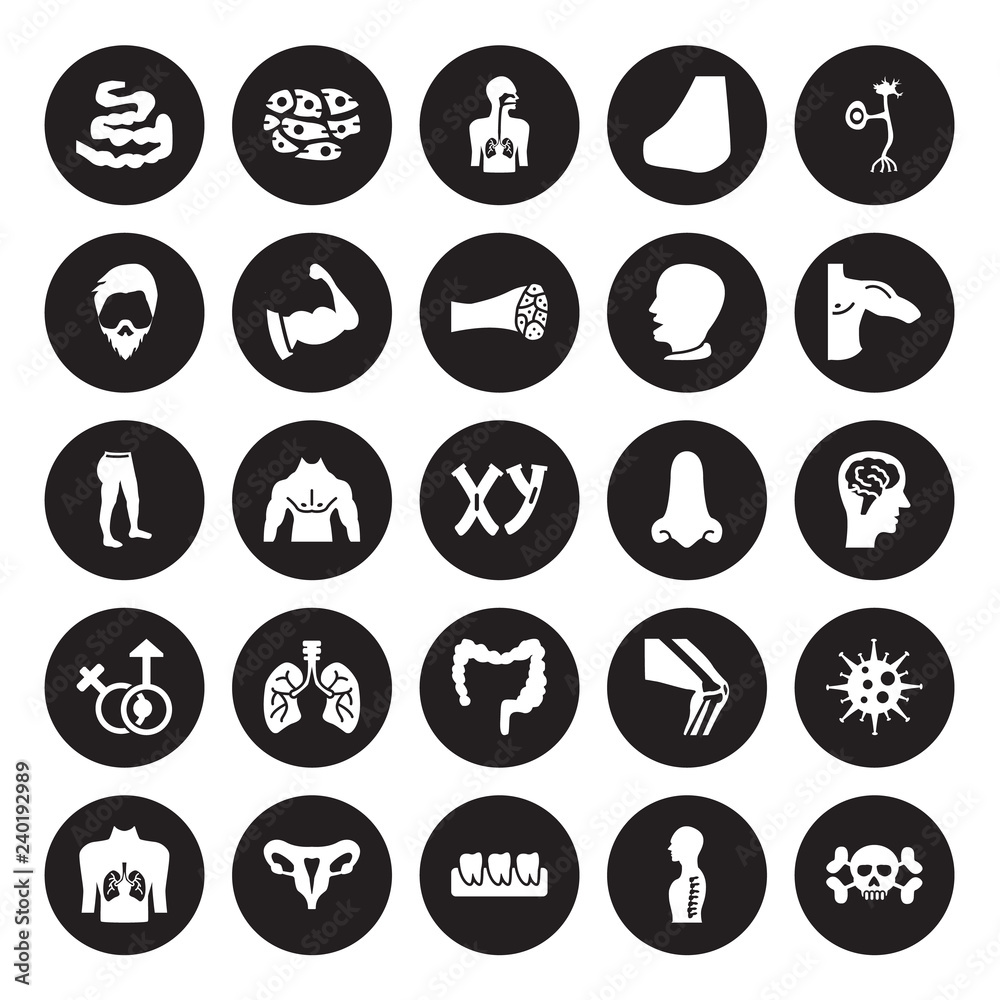 25 vector icon set : Small Intestine, Human Spine, Teeth, Uterus, with focus on the lungs, Men Shoulder, Male nose of a line, Large Intestine isolated black background.