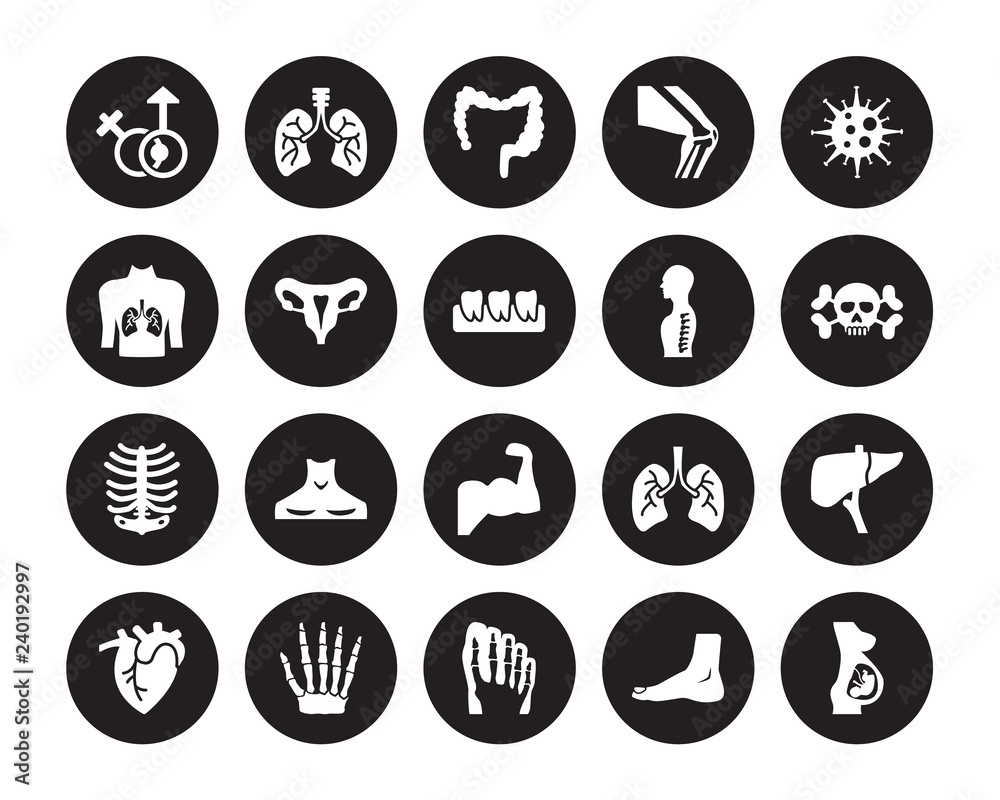 20 vector icon set : Male and female gender, Human Foot, footprints, hand bones, Heart, Immune System, Spine, Muscle, Ribs isolated on black background 20 vector icon set : Male and female gender, Human Foot, footprints, hand bones, Heart, Immune System, Spine, Muscle, Ribs isolated on black background