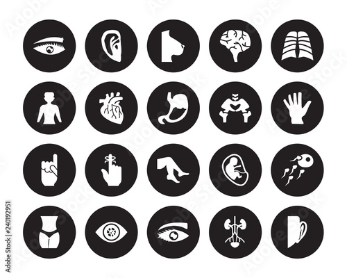 20 vector icon set : Human Eyebrow, Excretory system, Eye with lashes, variant enlarged pupil, Female hips and waist isolated on black background