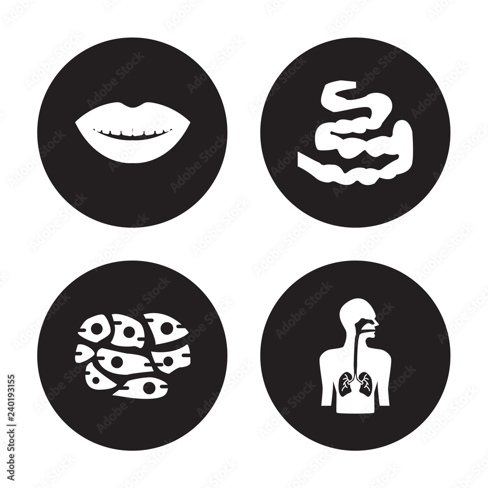 4 vector icon set : Smiling mouth showing teeth, Skin Cells, Small Intestine, Respiratory System isolated on black background 4 vector icon set : Smiling mouth showing teeth, Skin Cells, Small Intestine, Respiratory System isolated on black background