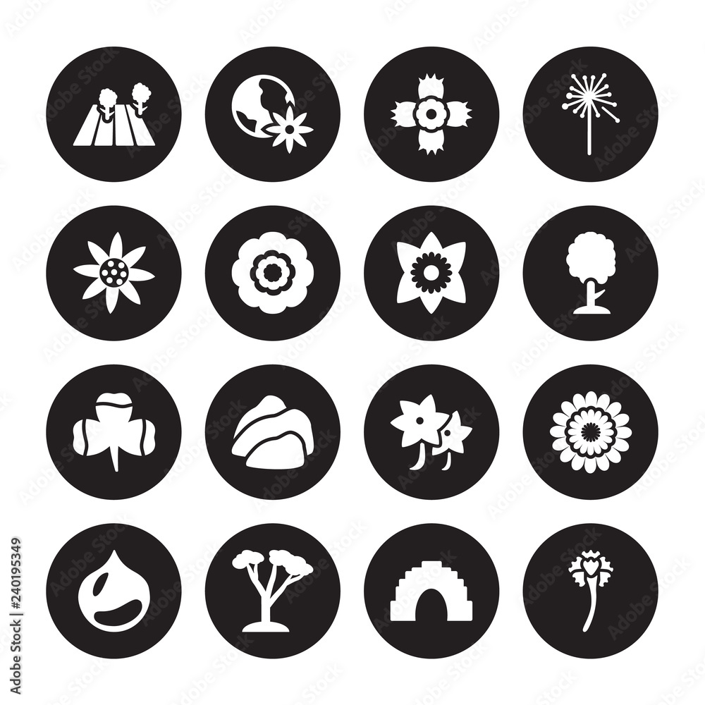 16 vector icon set : Field, cave, Cedar, Chestnut, Chrysanthemum, Carnation, Daisy, Clover, Daffodil isolated on black background 16 vector icon set : Field, cave, Cedar, Chestnut, Chrysanthemum, Carnation, Daisy, Clover, Daffodil isolated on black background
