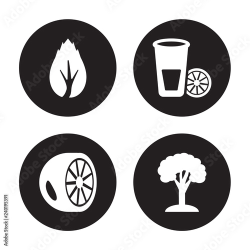 4 vector icon set   Birch  Bergamot  lemon and juice drop out  Beech isolated on black background