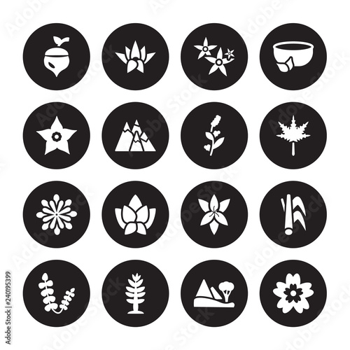 16 vector icon set : Oak, Landscape, Larch, Lavender, Lemongrass, Knapweed, Narcissus, Magnolia, Mimosa isolated on black background