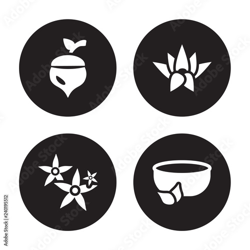 4 vector icon set : Oak, Neroli, Nymphea, natural medical pills isolated on black background