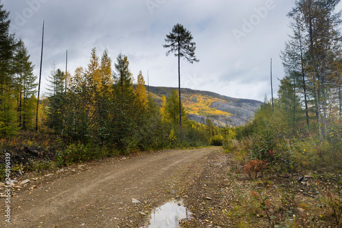 Beautiful autumn in the mountains East of Russia Khabarovsk Region. Autumn in the forest in a mountain region of Khabarovsk region of Russia. photo