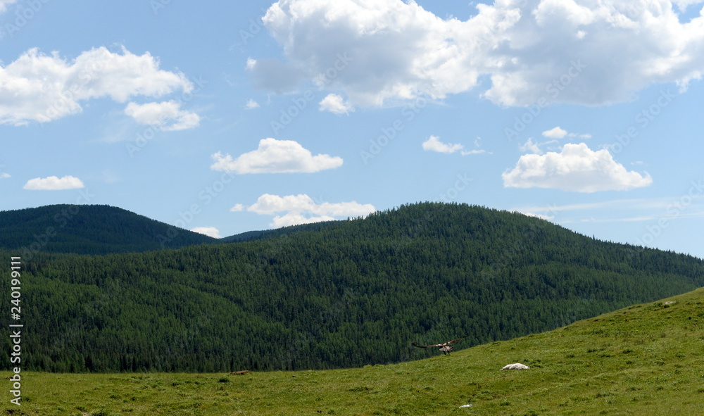 Summer landscape in the Ulagan district of the Altai Republic Summer landscape in the Ulagan district of the Altai Republic