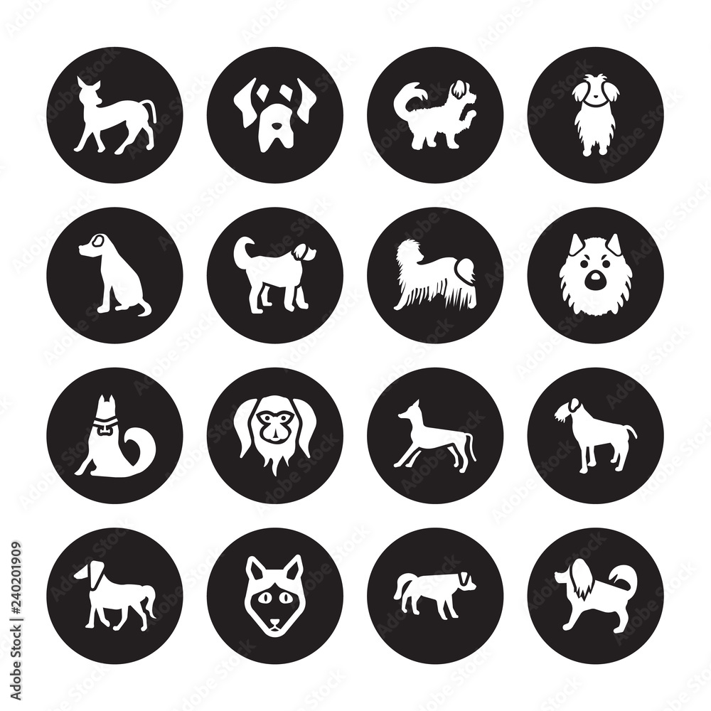 16 vector icon set : Mexican Hairless Dog dog, Hovawart Husky Irish Setter Terrier Havanese Vizsla Jindo Komondor dog isolated on black background