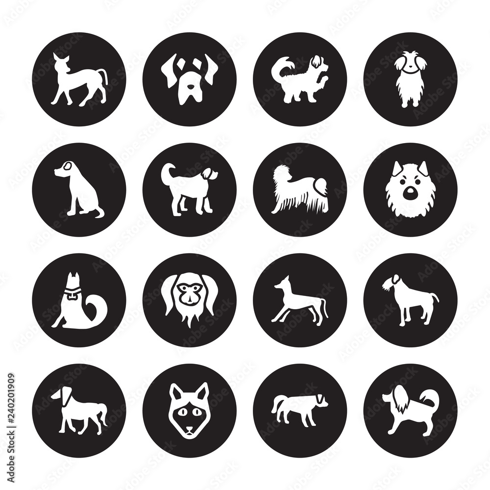16 vector icon set : Mexican Hairless Dog dog, Hovawart Husky Irish Setter Terrier Havanese Vizsla Jindo Komondor dog isolated on black background 16 vector icon set : Mexican Hairless Dog dog, Hovawart Husky Irish Setter Terrier Havanese Vizsla Jindo Komondor dog isolated on black background