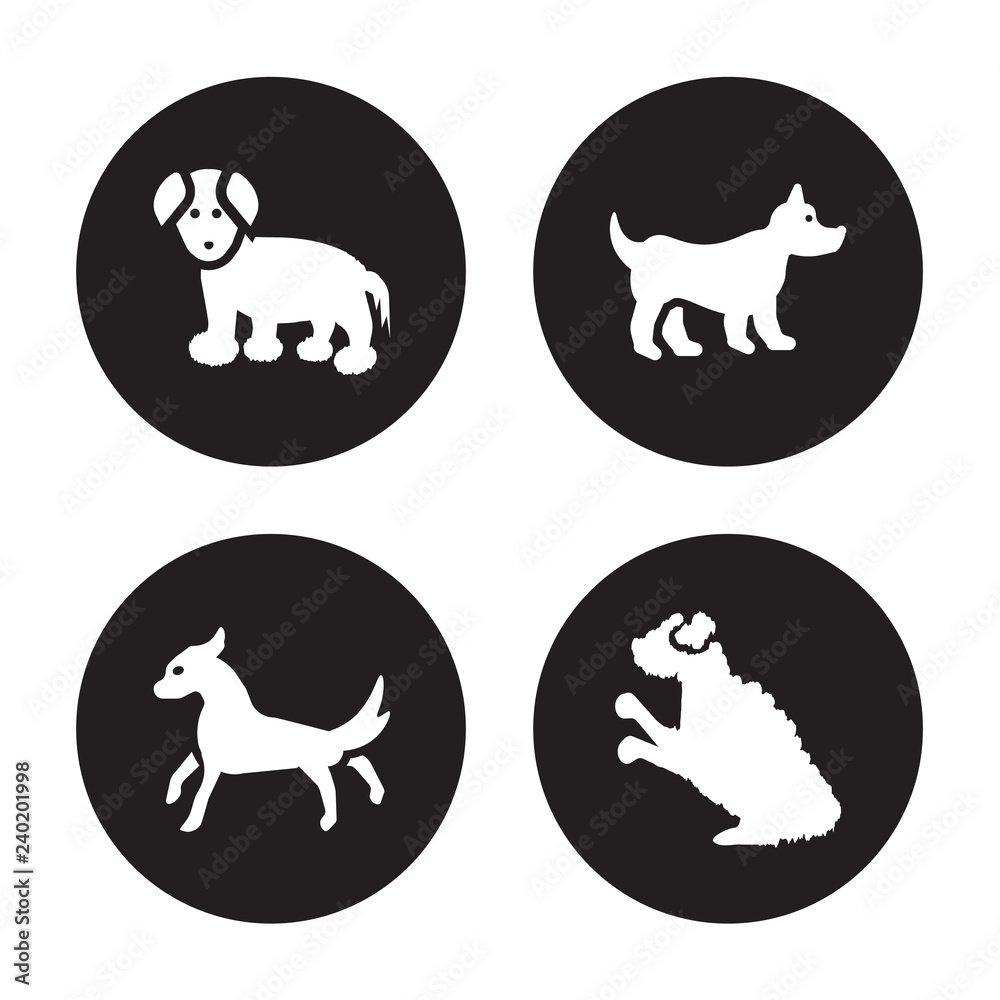 4 vector icon set : Coton De Tulear dog, Cocker Spaniel Corgi Cockapoo dog isolated on black background