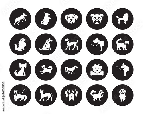 20 vector icon set : Rhodesian Ridgeback dog, Maltipoo Mastiff Mexican Hairless Dog Mudi Poodle dog isolated on black background