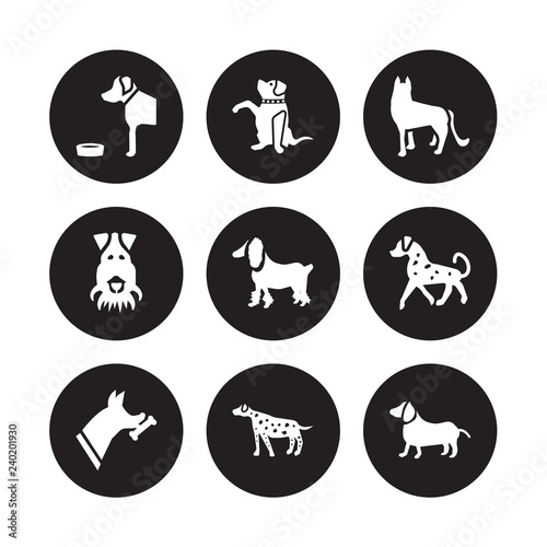 9 vector icon set : Golden Retriever dog, Goldador Doberman English Setters Field Spaniel German Shepards Fox Terrier Dalmatian dog isolated on black background