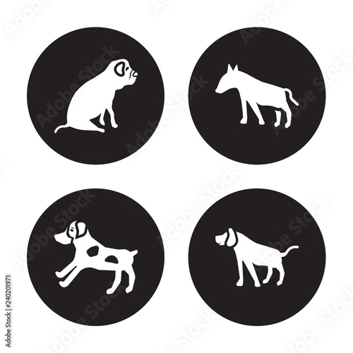4 vector icon set   Bulldog  Brittany dog  Bull Terrier Bracco Italiano dog isolated on black background