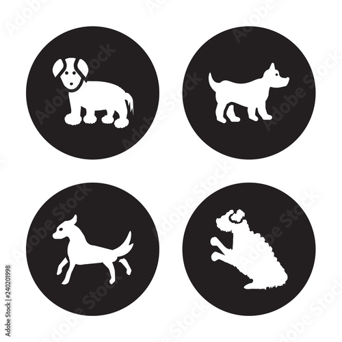 4 vector icon set   Coton De Tulear dog  Cocker Spaniel Corgi Cockapoo dog isolated on black background