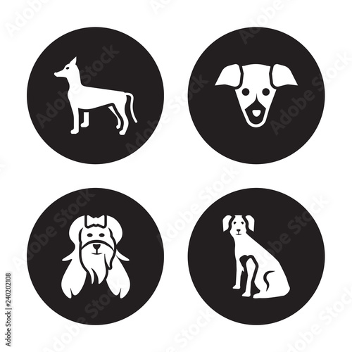 4 vector icon set   Xoloitzcuintli dog  West Highland White Terrier Whippet Weimeraner dog isolated on black background