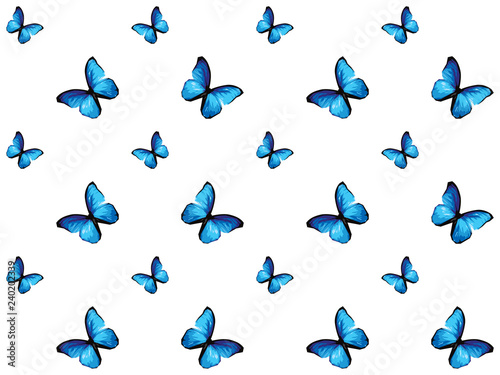 Colorful butterfly isolated on white background, blue wings insects flying. Pattern logo geometric. Bug polygonal crystal style.