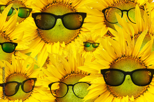 Fototapeta Naklejka Na Ścianę i Meble -  Beautiful sunflowers with sunglasses on background.