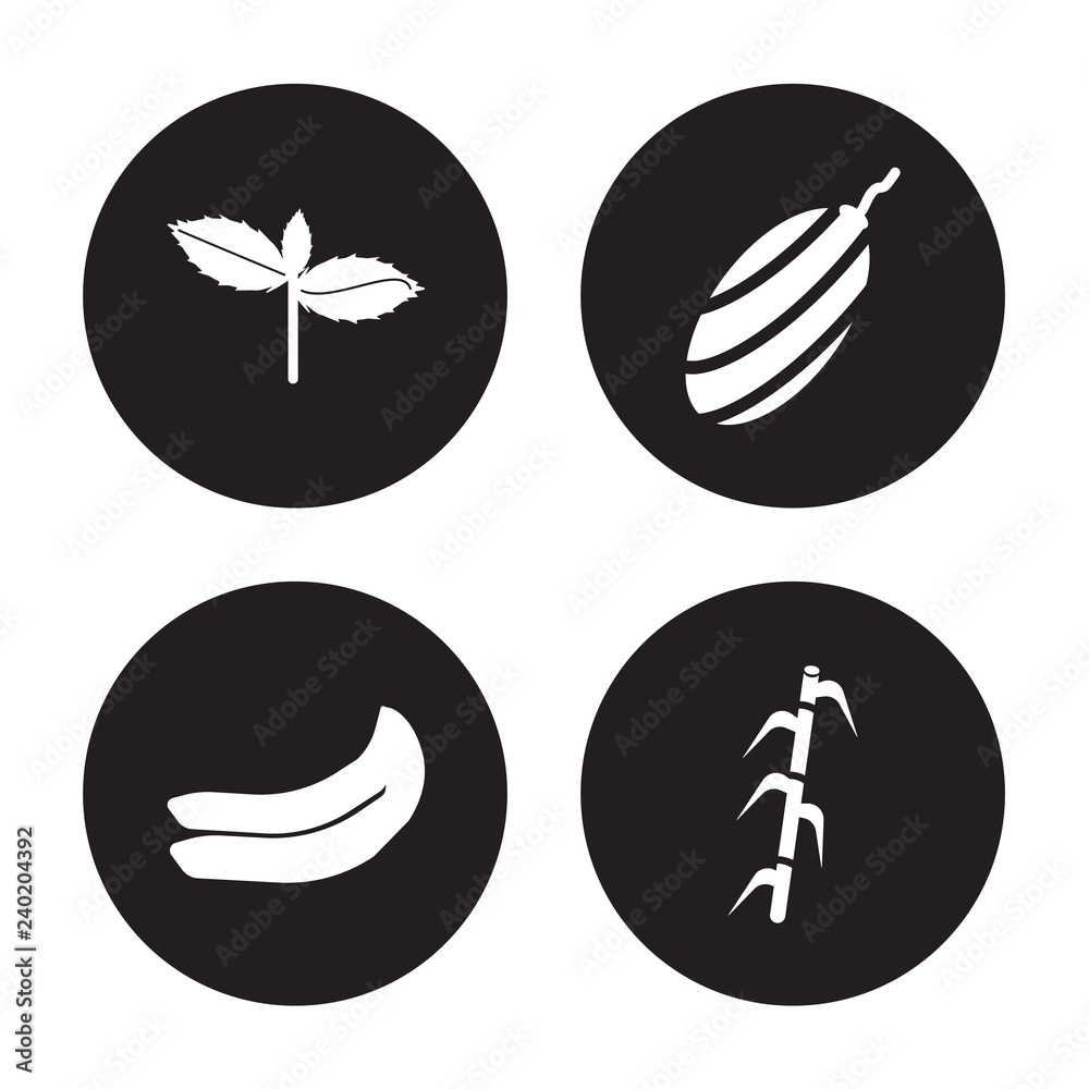 4 vector icon set : Basil, Banana, shallots, Bamboo isolated on black background