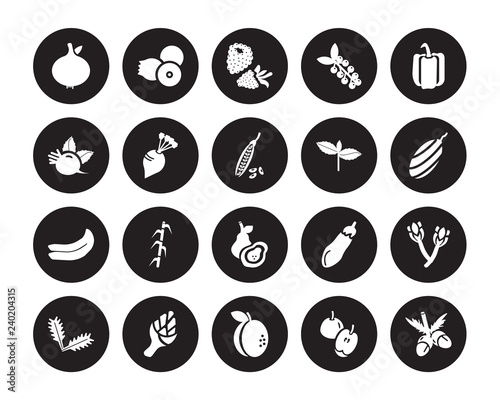 20 vector icon set : Breast milk fruit, Apple, Apricot, Artichoke, Arugula, Bell pepper, Basil, Avocado, Banana, Beet, Blackberry isolated on black background
