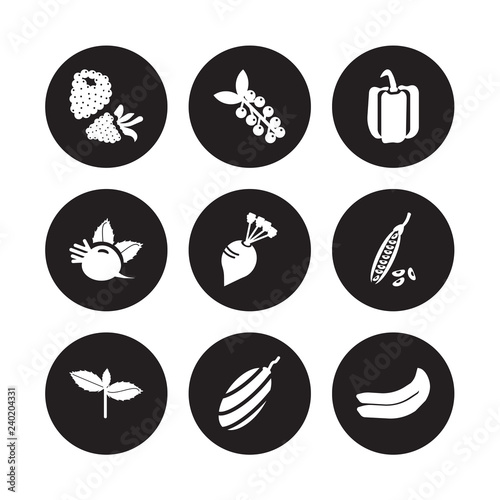 9 vector icon set : Blackberry, Berries, Basil, Beans, Beet, Bell pepper, Beetroot, shallots isolated on black background