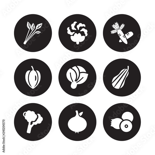 9 vector icon set : Celery, Cauliflower, Broccoli, Butternut squash, Cabbage, Carrots, Carambola, Breast milk fruit isolated on black background