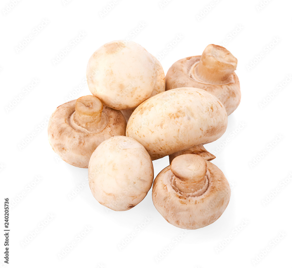 Champignon mushroom isolated on white background Champignon mushroom isolated on white background