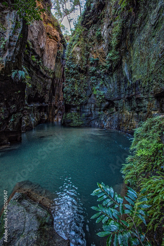 Isalo Canyon Oasis